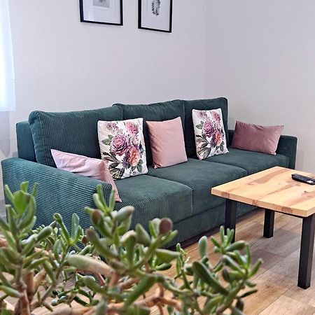Apartament Dzika Roza Ковары Экстерьер фото