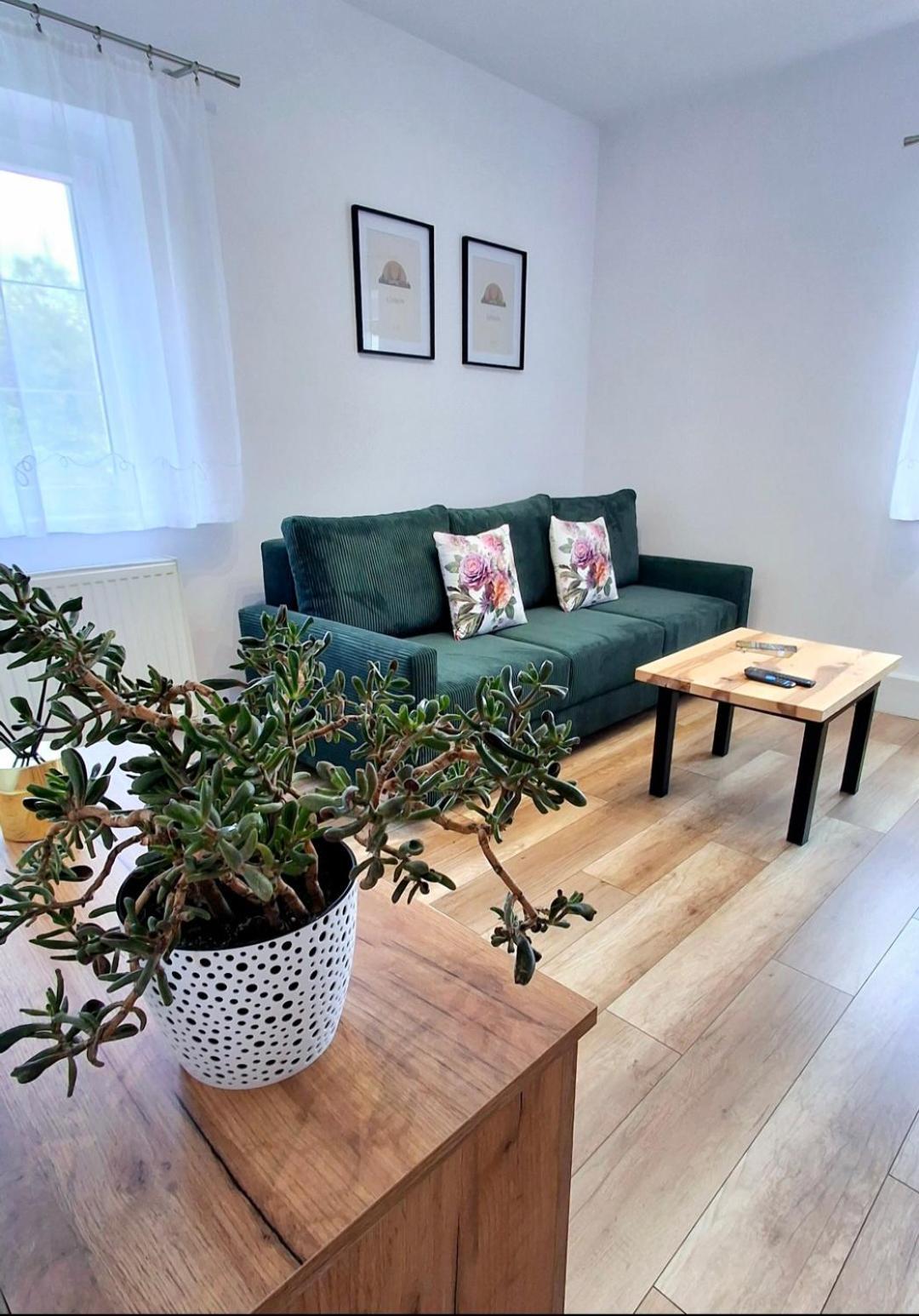 Apartament Dzika Roza Ковары Экстерьер фото