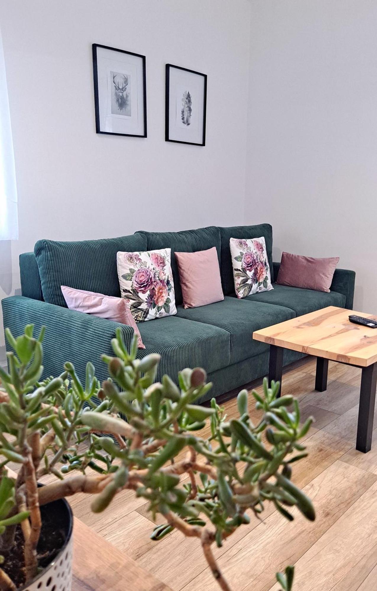 Apartament Dzika Roza Ковары Экстерьер фото